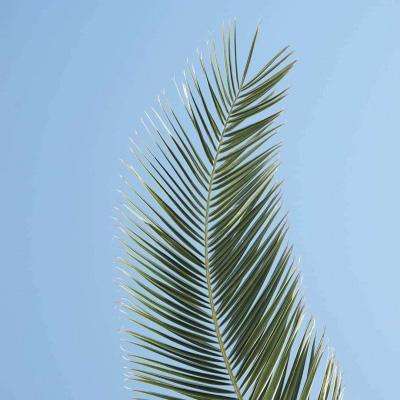 江南娱乐app官网下载官方入口截图