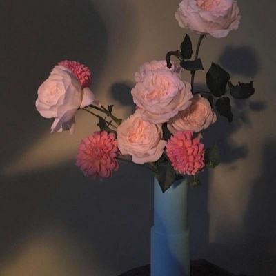 im电竞下载手机版截图